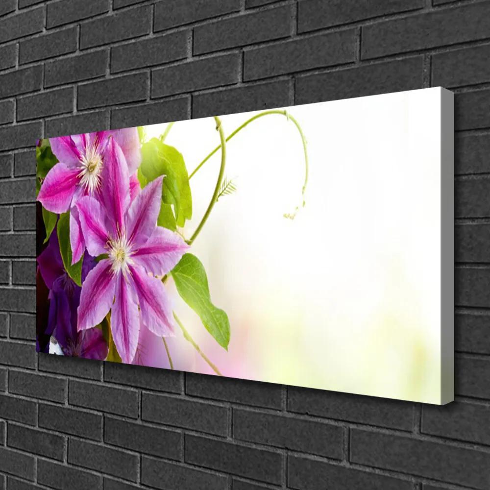 Obraz Canvas Kvety príroda 100x50 cm