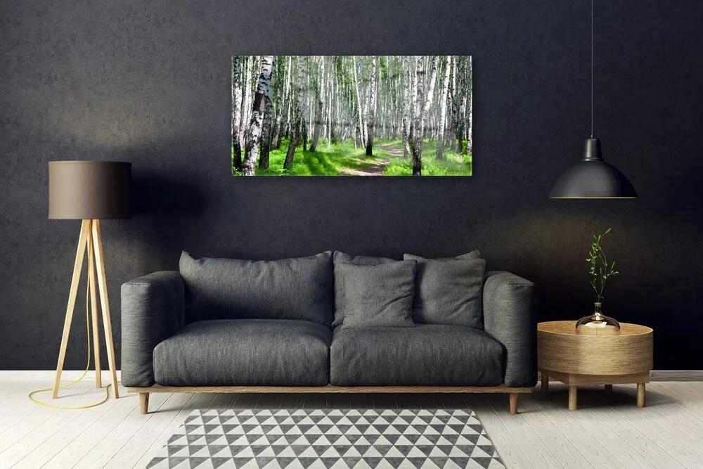 Obraz na skle Stromy tráva príroda 100x50 cm