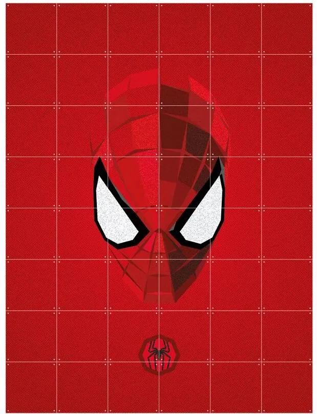 IXXI Skladaný obraz IXXI Icon Spider Man