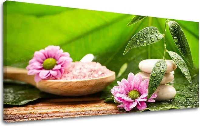 Obraz na stenu PANORÁMA FENG SHUI