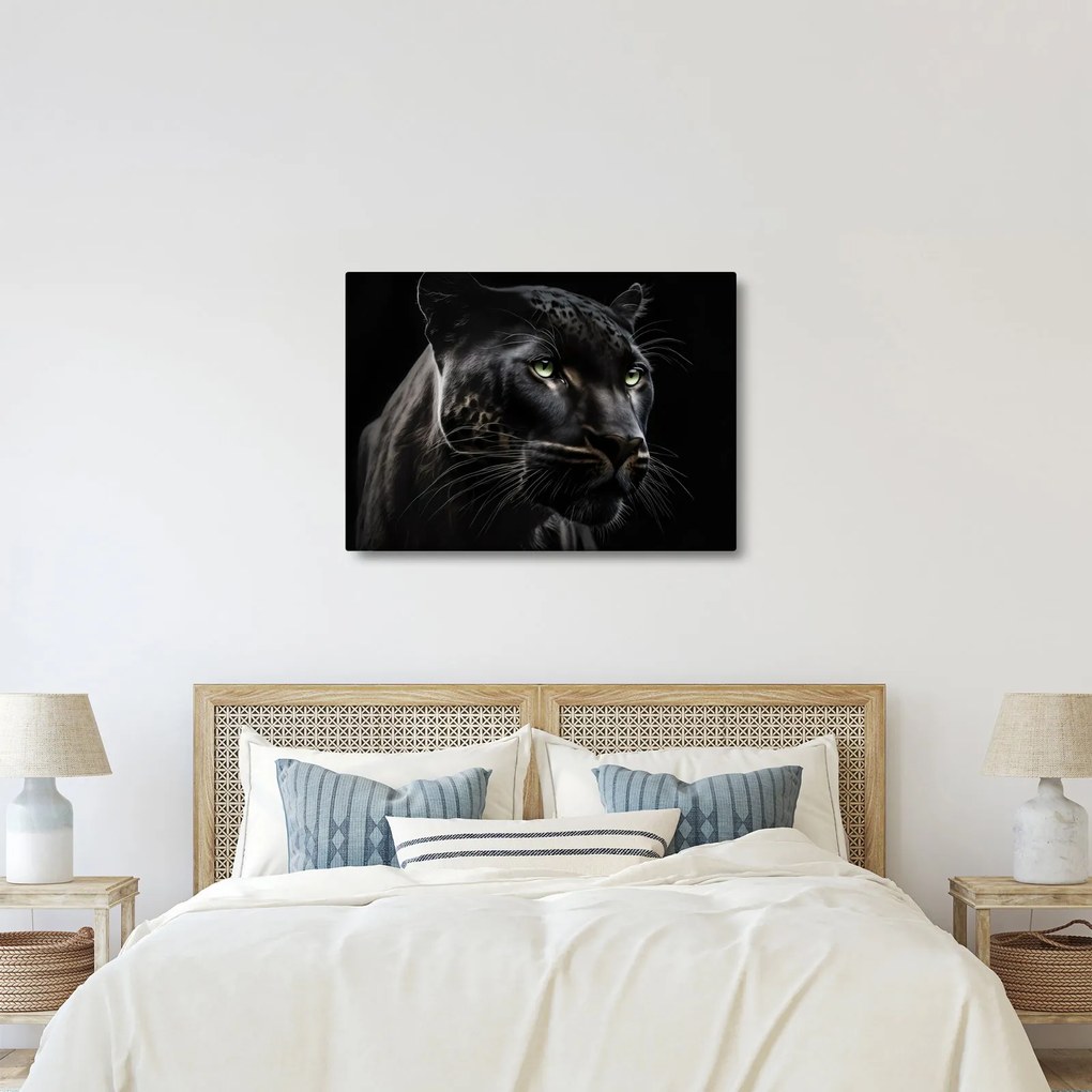 Obraz - Čierny panter (70x50 cm)