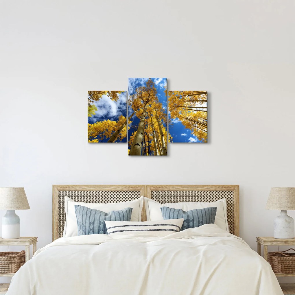 Obraz - Aspen (90x60 cm)