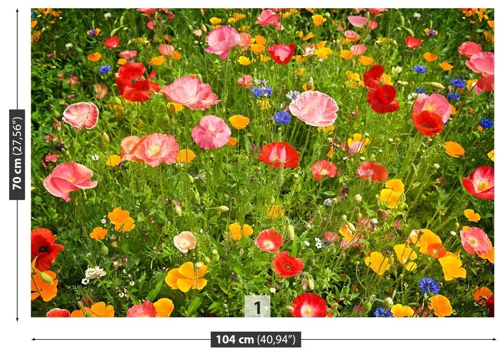 Fototapeta Vliesová Lúčne kvety 250x104 cm
