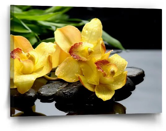 Sablio Obraz Žlté Orchidey - 90x60 cm