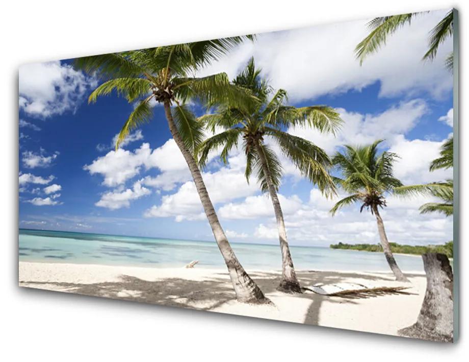 Nástenný panel  More pláž palma krajina 100x50cm