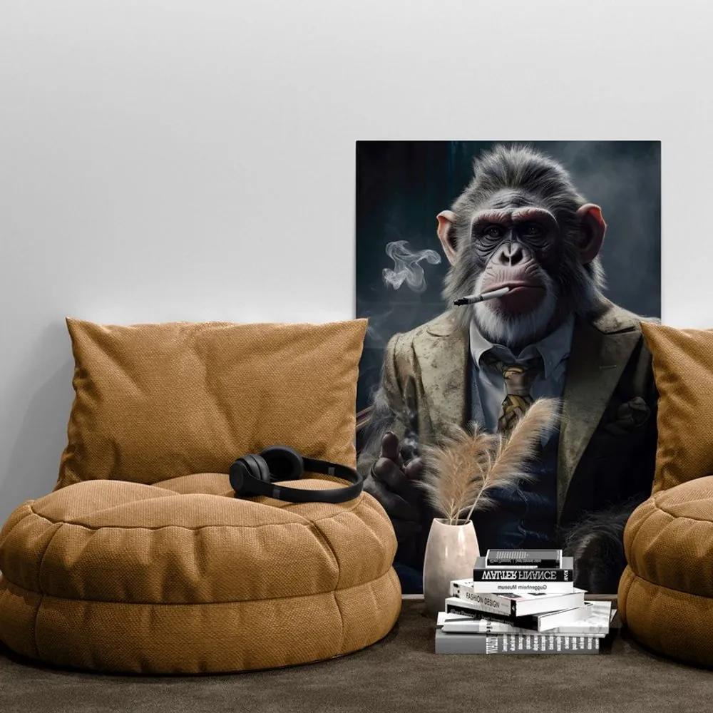 Obraz zvierací gangster šimpanz Varianta: 40x60