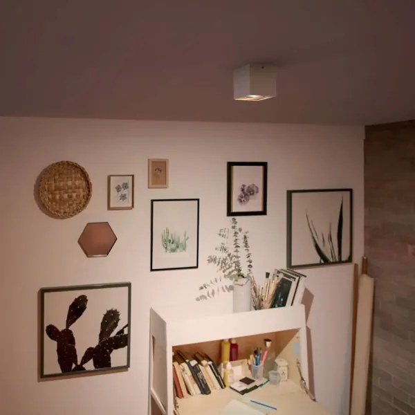 Philips 50491/31/P0-LED Stmievateľné bodové svietidlo MYLIVING BOX 1xLED/4,5W/230V