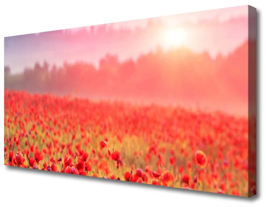 Obraz na plátne Lúka kvety príroda 120x60 cm