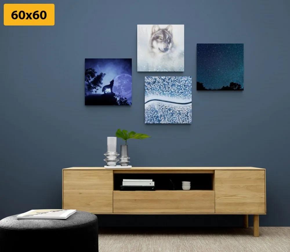 Set obrazov samotársky vlk - 4x 60x60