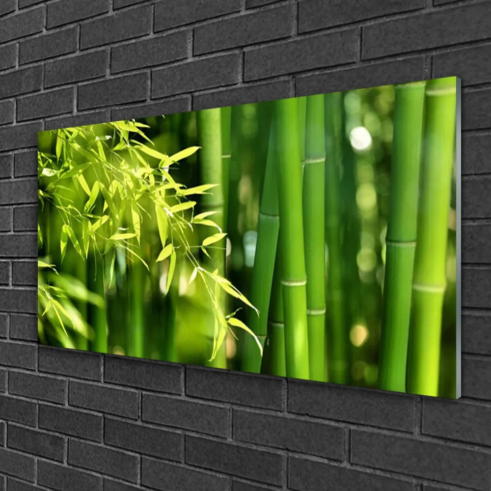 Skleneny obraz Bambus listy rastlina 100x50 cm