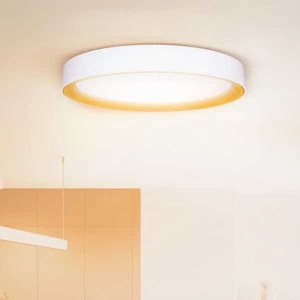 Brilagi - stmievateľné LED stropné svietidlo LARIOS LED/72W/230V biela pr. 59 cm + diaľkové ovládanie