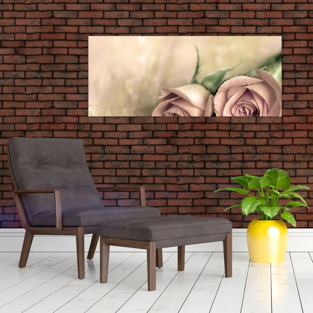 Obraz - Jemné ruže (120x50 cm)