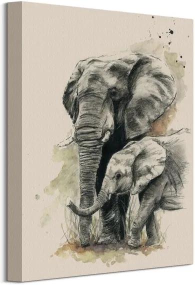 Obraz na plátne Hrdý slon Stokes Sarah 30x40cm WDC92677