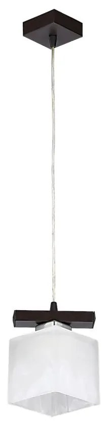 Jupiter 1096 - PO1 - Závesný luster POLA 1xE27/60W/230V wenge