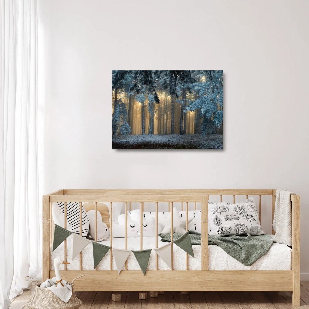 Sklenený obraz zasneženého lesa (70x50 cm)