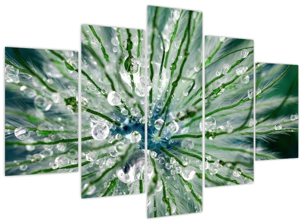 Obraz - Makro snímka kvetu (150x105 cm)