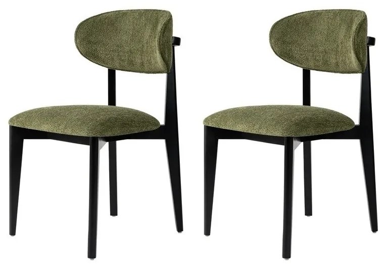 Súprava jedálenských stoličiek Lionte Green and Black, 2 ks