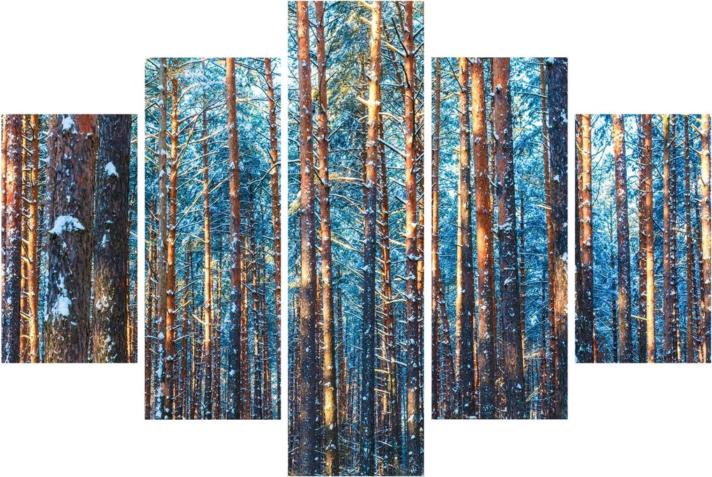 Obraz - Zimný les (150x105 cm)