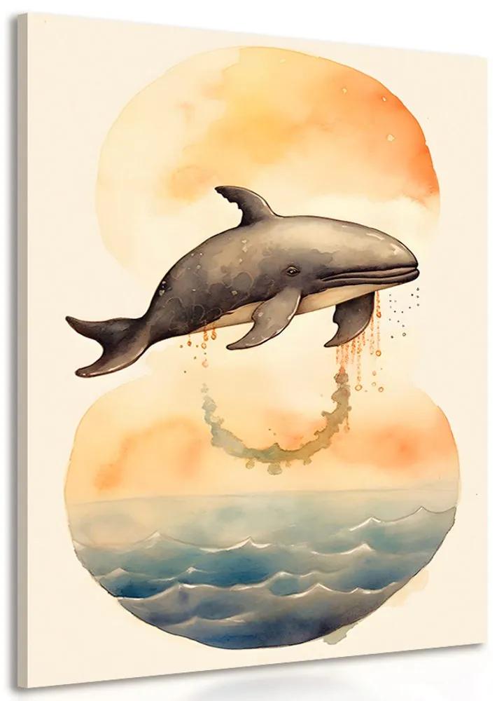 Obraz zasnená veľryba v západe slnka Varianta: 60x90