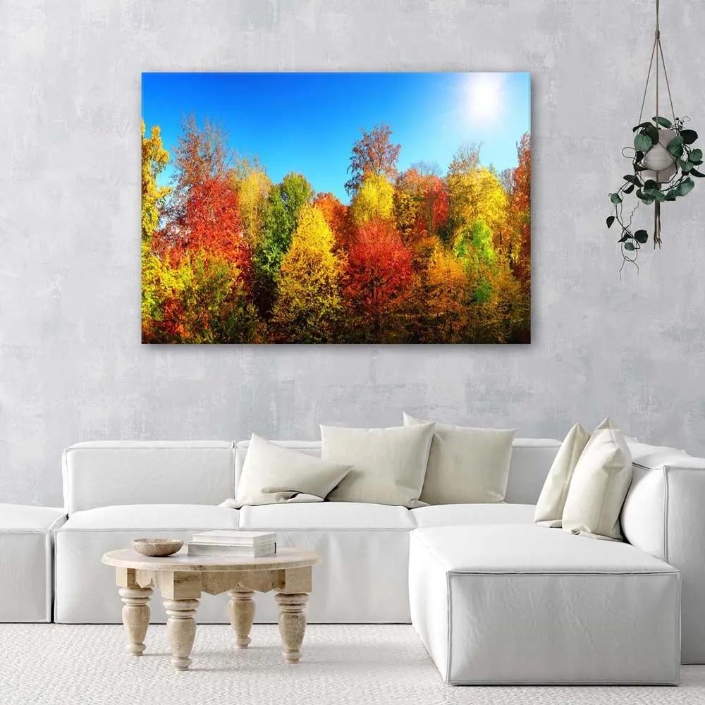 Obraz na plátně Barevná lesní podzimní krajina - 100x70 cm