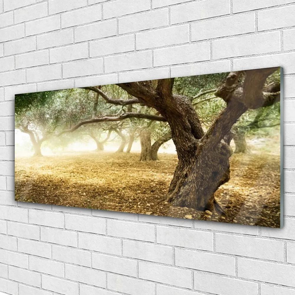 Obraz na akrylátovom skle Strom tráva príroda 125x50 cm