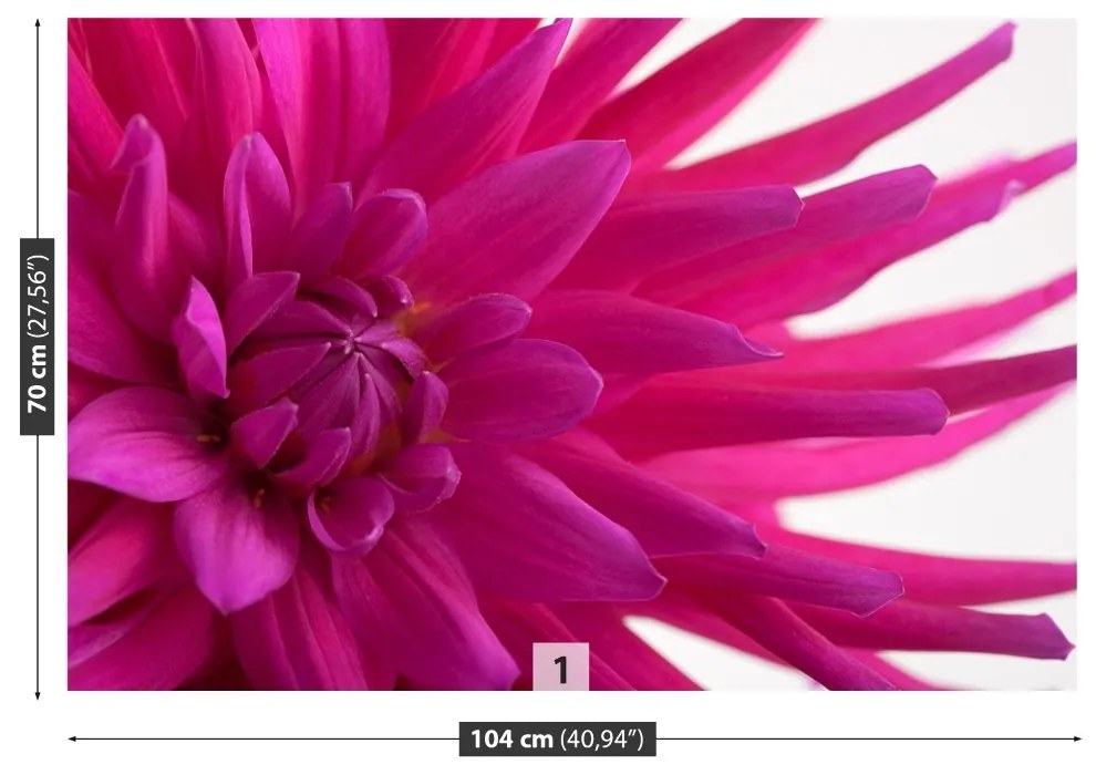 Fototapeta Vliesová Dahlia pink 104x70 cm