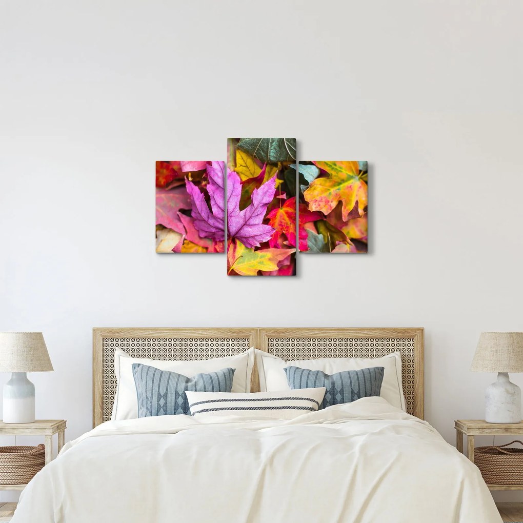 Obraz - jesenné listy (90x60 cm)
