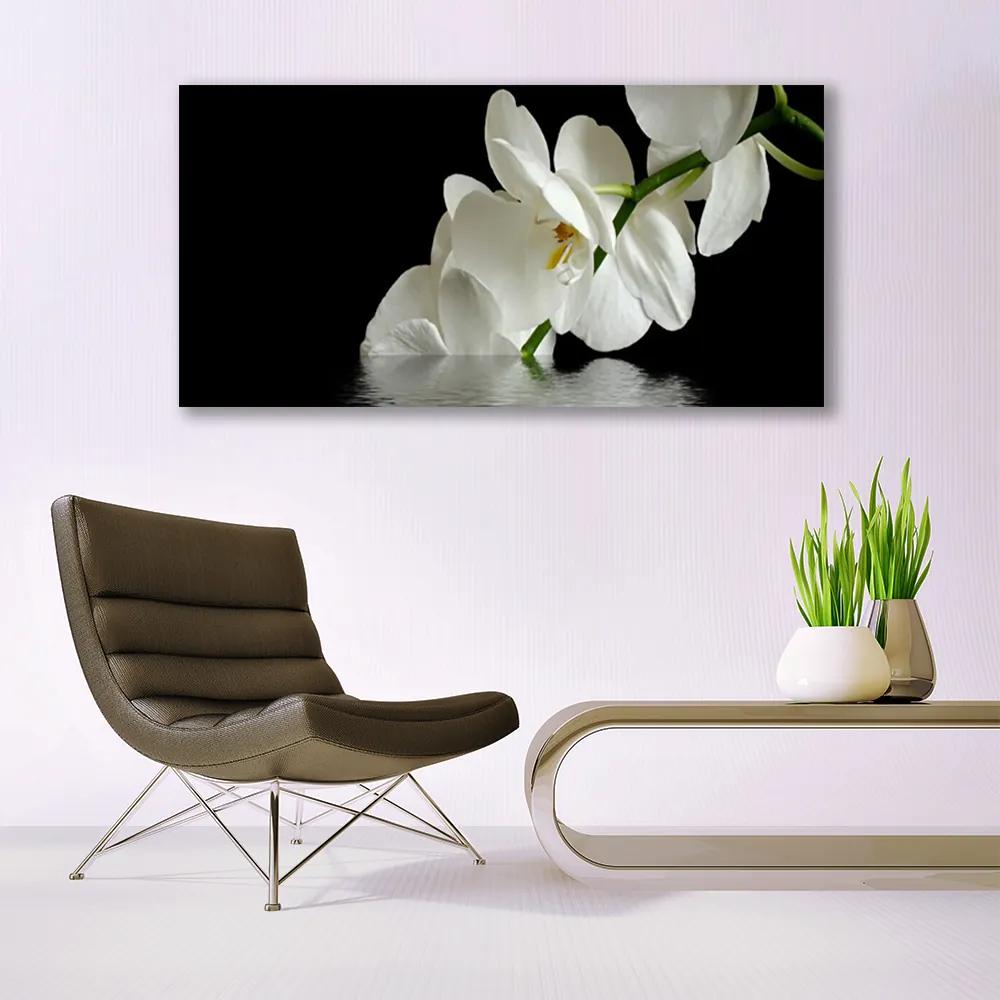 Obraz plexi Orchidea vo vode kvety 120x60 cm