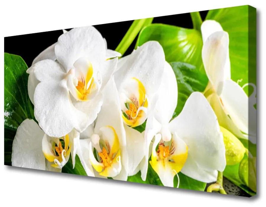 Obraz Canvas Orchidea kvety príroda 140x70cm