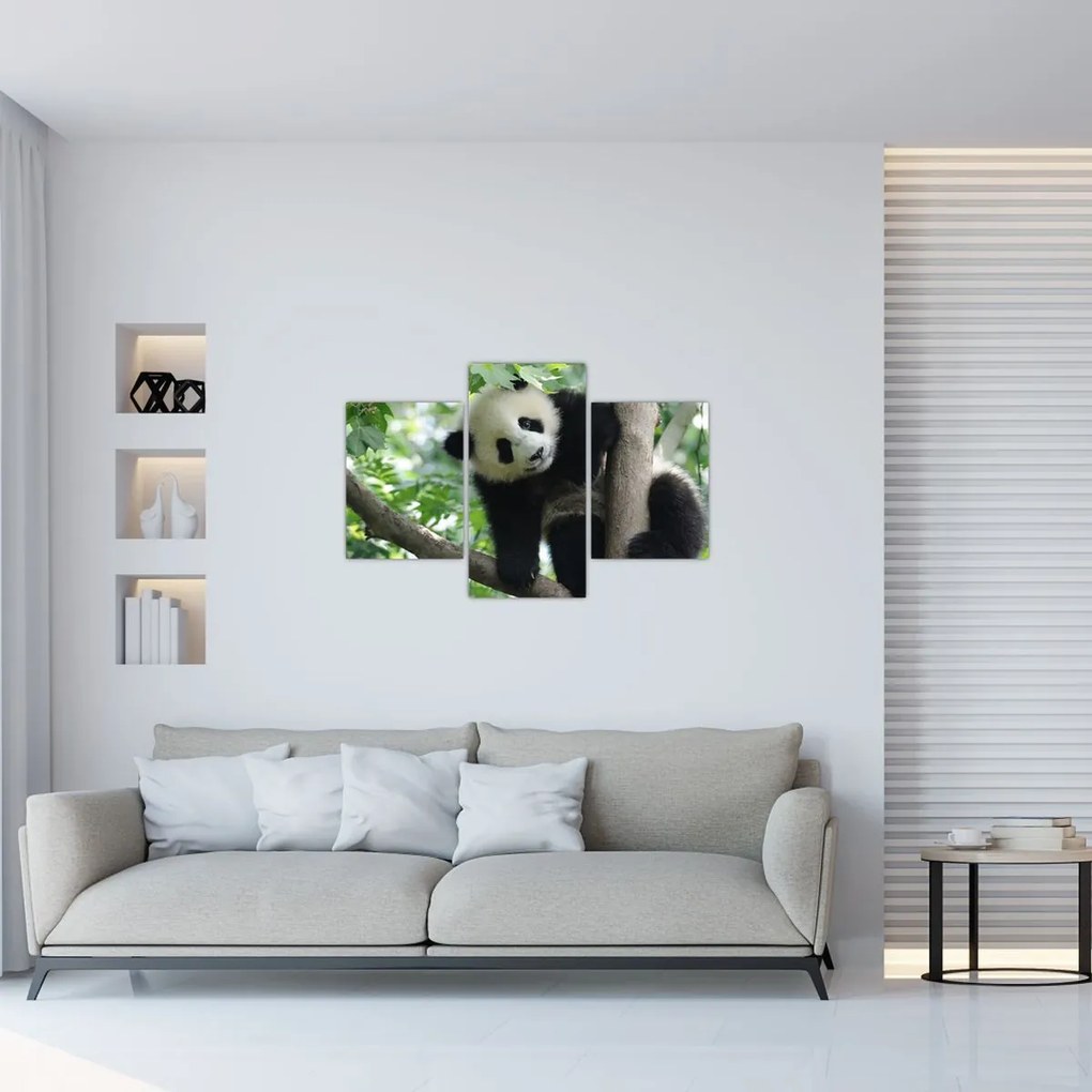 Obraz - Panda na strome (90x60 cm)