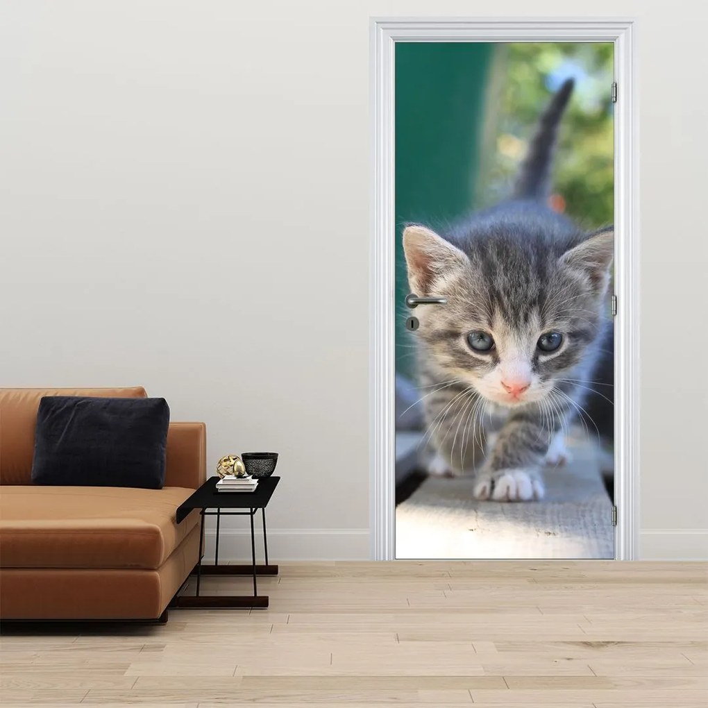Fototapeta na dvere - Mačiatko (95x205cm)