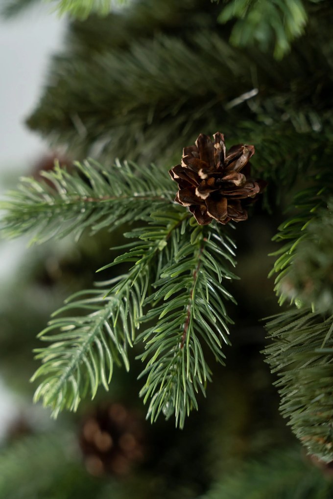 Vianočný stromček s 3D- Sosna Pola 120 cm