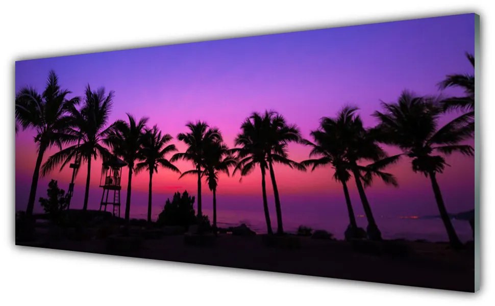 Obraz na akrylátovom skle Palmy stromy príroda 125x50 cm