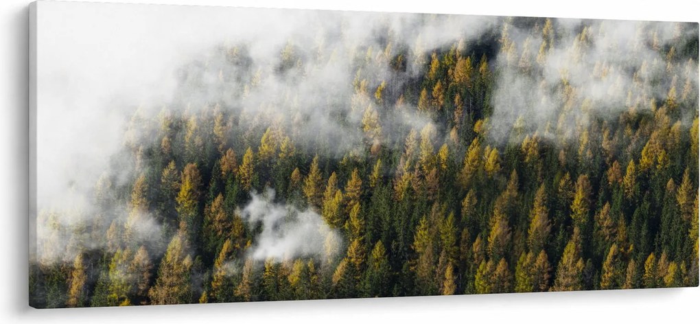 Obraz lesa v mrakoch (120x50 cm)