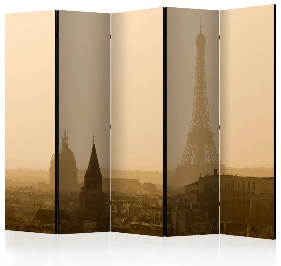 Artgeist Paraván - Paris at Dawn II [Room Dividers]