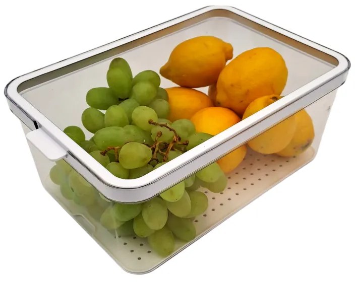 Rotho Organizér do chladničky, s vekom a špeciálnou podložkou 4,65 l CAUMA