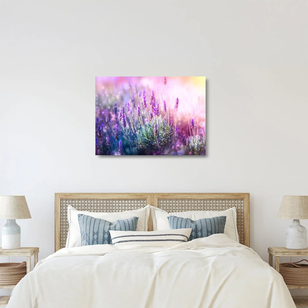 Sklenený obraz - Levanduľa vo trblietania slnka (70x50 cm)