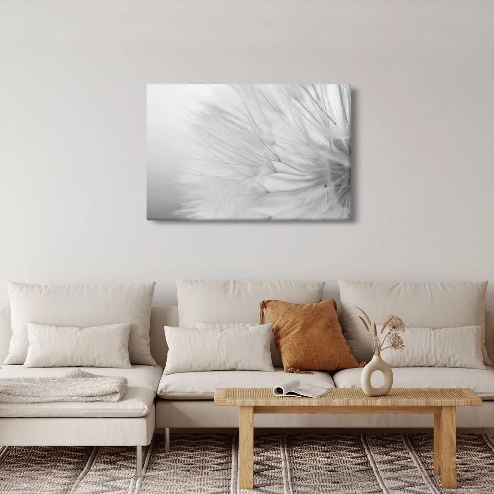 Obraz - Púpava (90x60 cm)
