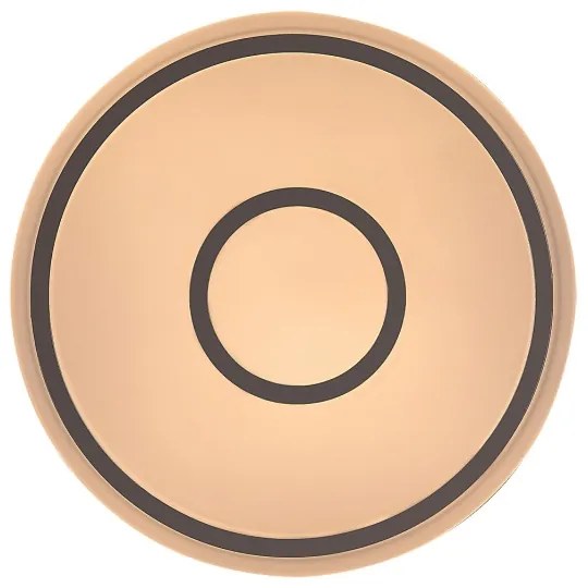 Rabalux 71117 - LED stropné svietidlo TAYTUM LED/25W/230V 3000K