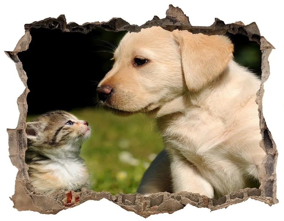 Díra 3D fototapeta nálepka Pes a mačka na lúke nd-k-38411802