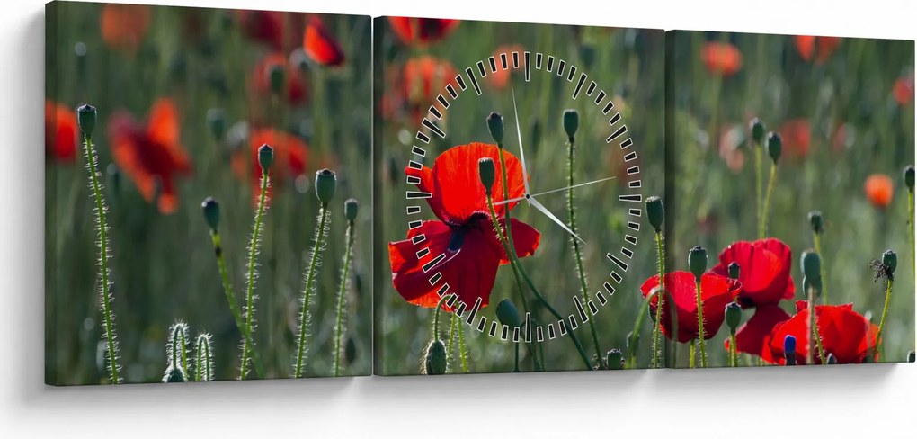 Obraz - Lúka s vlčími makmi (s hodinami) (90x30 cm)