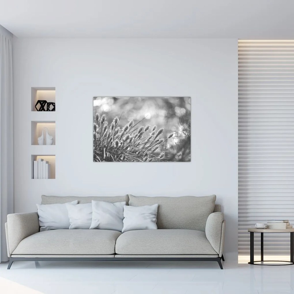 Obraz - Béžová soft grass N⁰1 (90x60 cm)