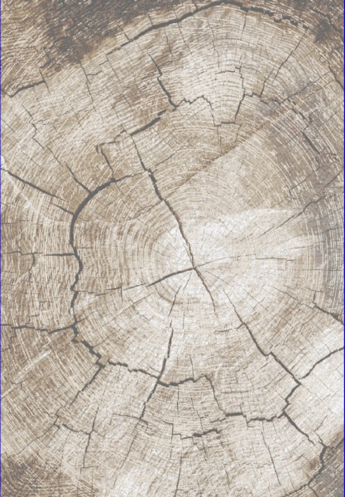 TA Koberec RE41A BÉŽOVÁ COMO HFW Rozmer: 250x350 cm