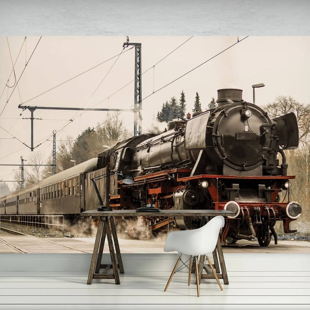 Fototapeta - Parná lokomotíva (254x184 cm)