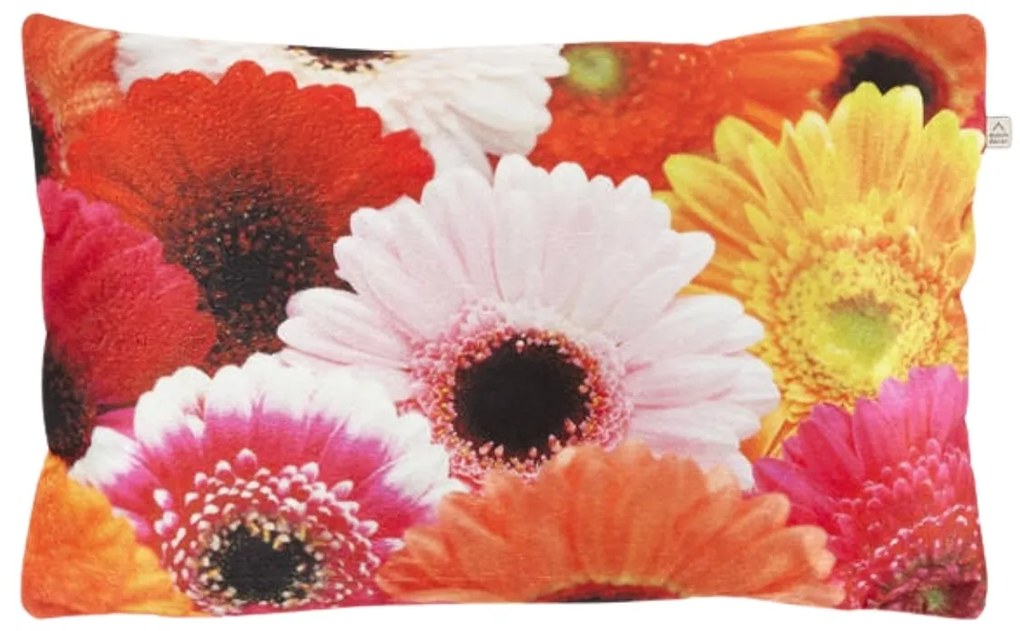 Dekoračný poťah na vankúš SAMARA GERBERA 30x50 cm, farebný