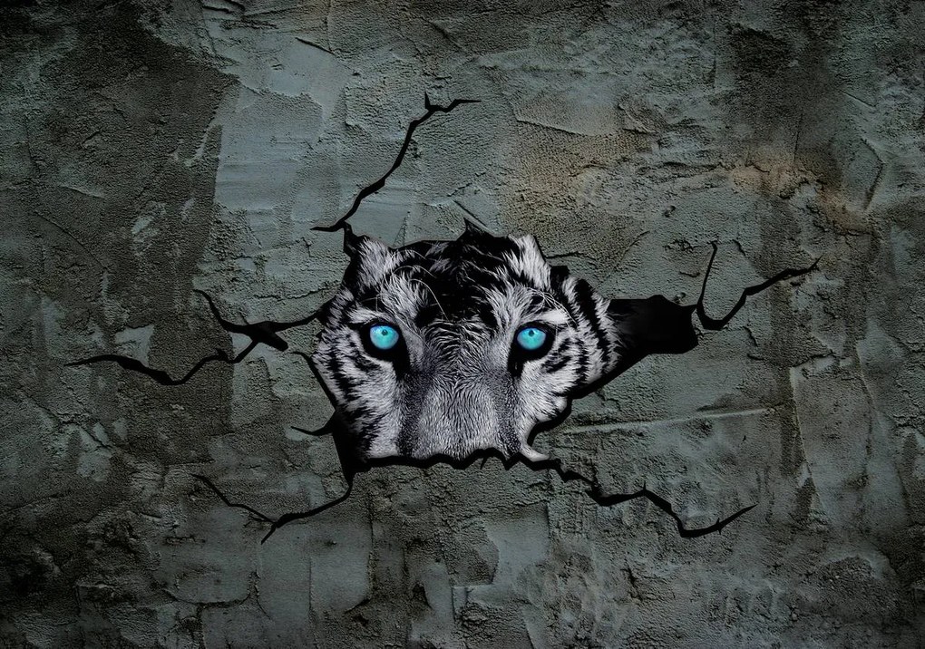 Fototapeta - Tiger s modrými očami (254x184 cm)