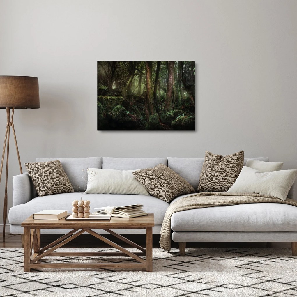 Sklenený obraz - Tajomný les (70x50 cm)