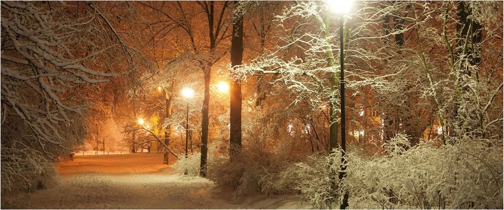 Obraz - Zasnežený park (120x50 cm)