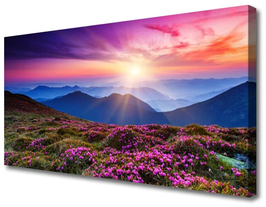 Obraz Canvas Hora lúka slnko krajina 125x50 cm