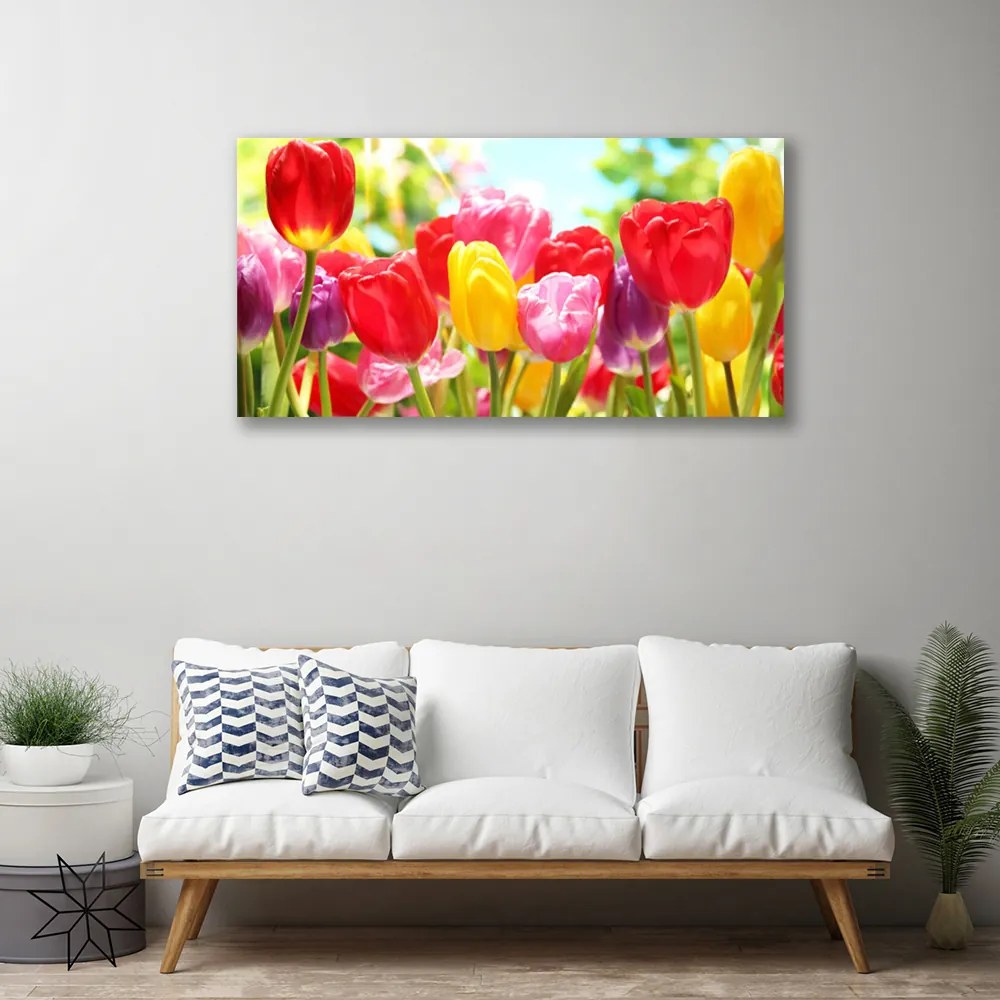 Obraz Canvas Tulipány kvety rastlina 125x50 cm